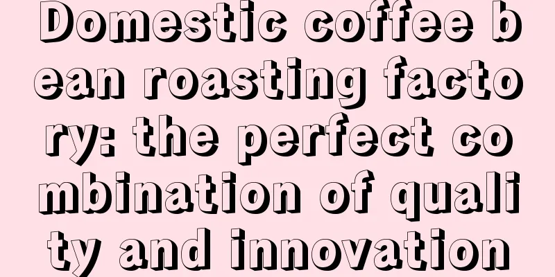 Domestic coffee bean roasting factory: the perfect combination of quality and innovation