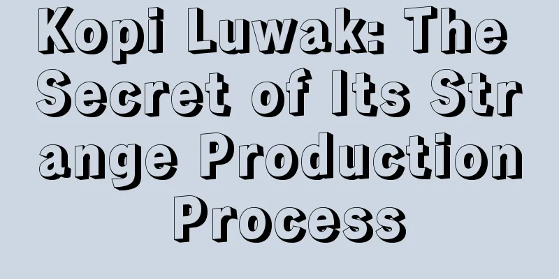 Kopi Luwak: The Secret of Its Strange Production Process