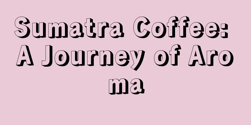 Sumatra Coffee: A Journey of Aroma