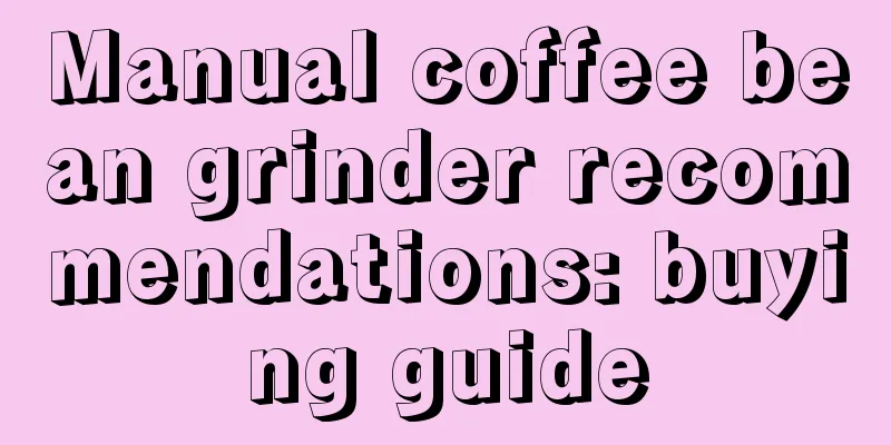 Manual coffee bean grinder recommendations: buying guide