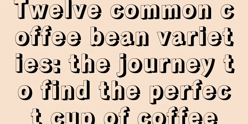 Twelve common coffee bean varieties: the journey to find the perfect cup of coffee