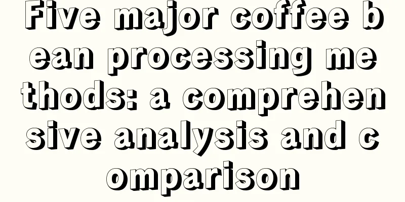 Five major coffee bean processing methods: a comprehensive analysis and comparison