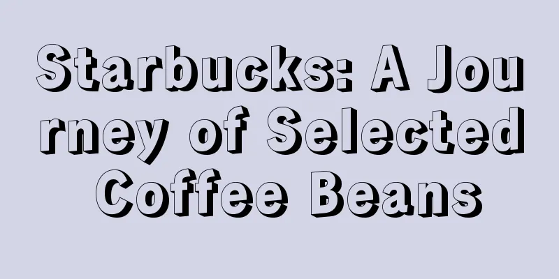 Starbucks: A Journey of Selected Coffee Beans