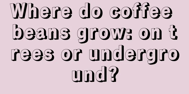 Where do coffee beans grow: on trees or underground?