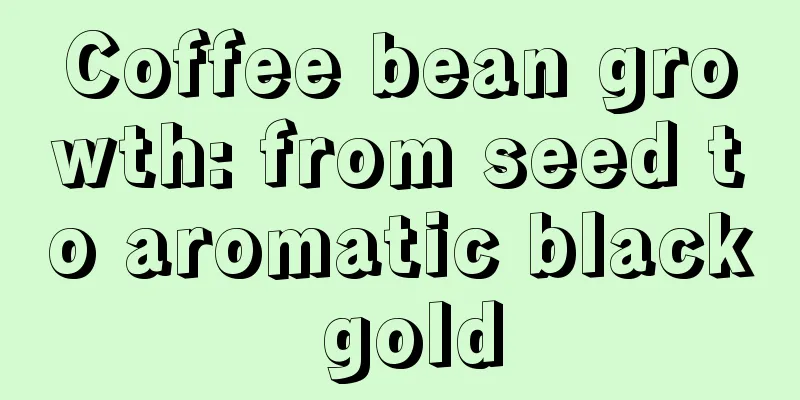 Coffee bean growth: from seed to aromatic black gold