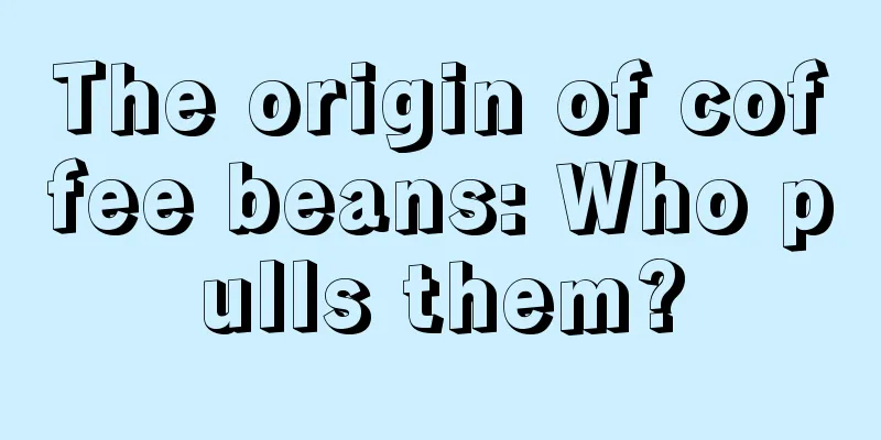 The origin of coffee beans: Who pulls them?