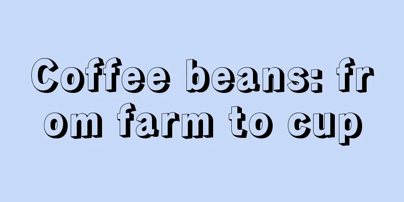 Coffee beans: from farm to cup