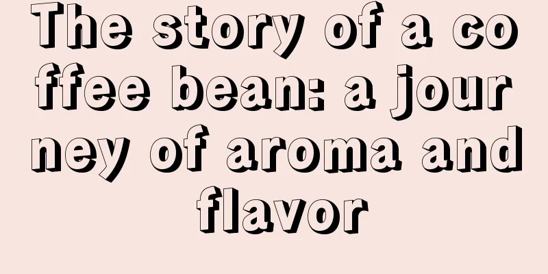 The story of a coffee bean: a journey of aroma and flavor