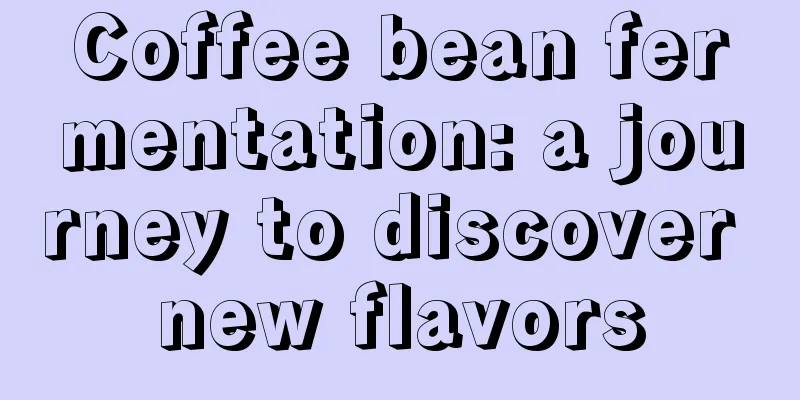 Coffee bean fermentation: a journey to discover new flavors