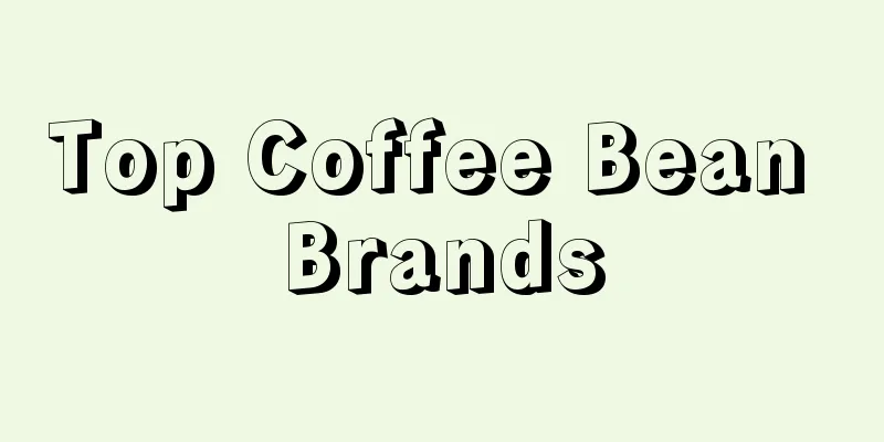 Top Coffee Bean Brands