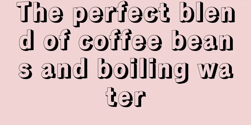 The perfect blend of coffee beans and boiling water