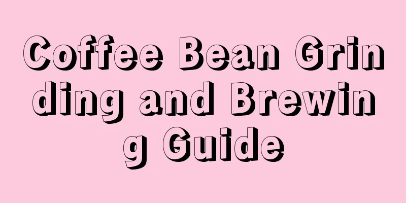 Coffee Bean Grinding and Brewing Guide