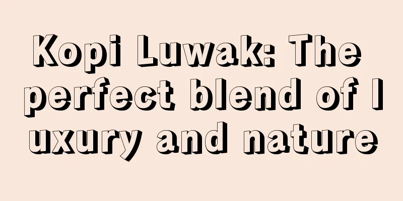 Kopi Luwak: The perfect blend of luxury and nature