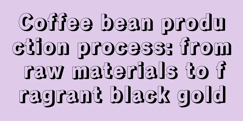 Coffee bean production process: from raw materials to fragrant black gold