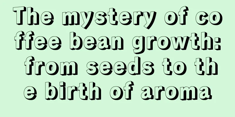 The mystery of coffee bean growth: from seeds to the birth of aroma