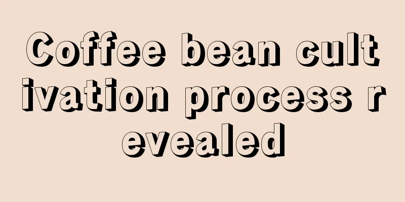 Coffee bean cultivation process revealed