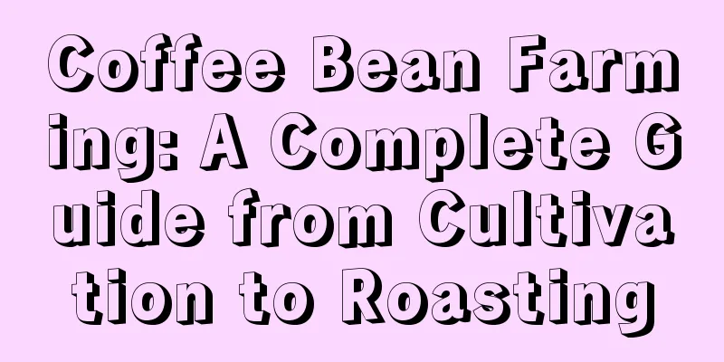 Coffee Bean Farming: A Complete Guide from Cultivation to Roasting