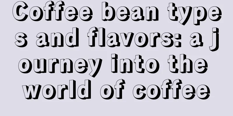 Coffee bean types and flavors: a journey into the world of coffee