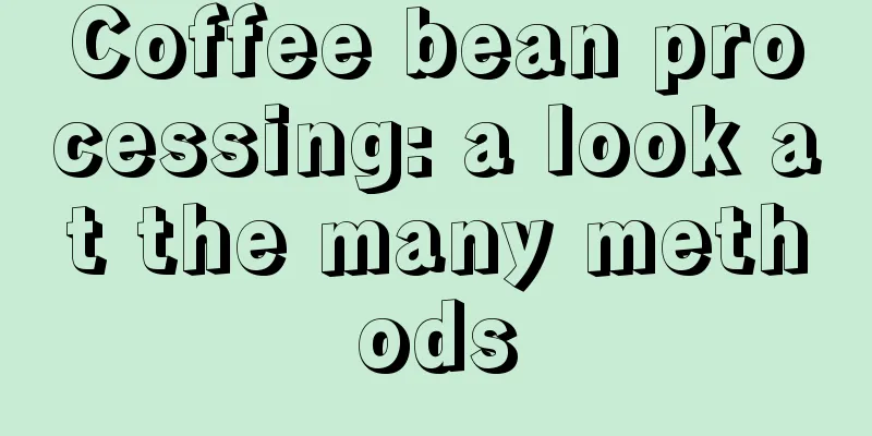 Coffee bean processing: a look at the many methods