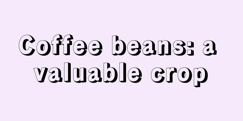 Coffee beans: a valuable crop