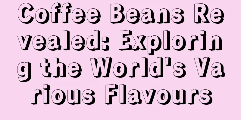 Coffee Beans Revealed: Exploring the World's Various Flavours