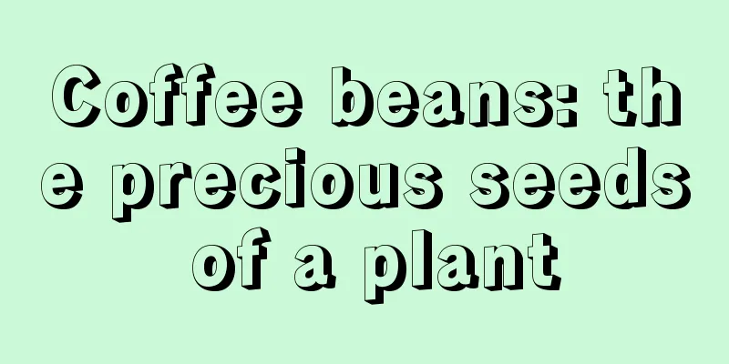 Coffee beans: the precious seeds of a plant