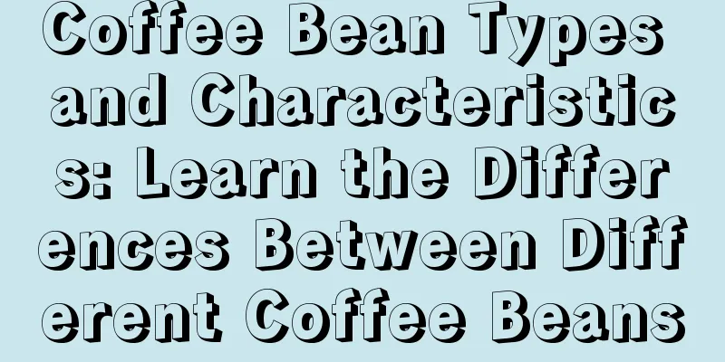 Coffee Bean Types and Characteristics: Learn the Differences Between Different Coffee Beans