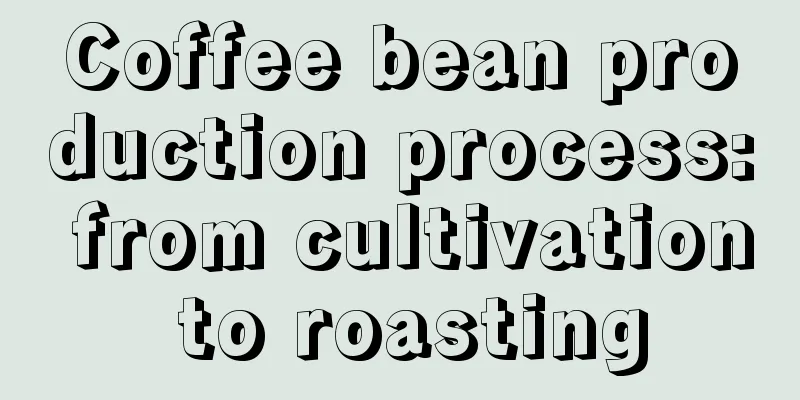 Coffee bean production process: from cultivation to roasting