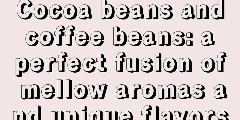 Cocoa beans and coffee beans: a perfect fusion of mellow aromas and unique flavors