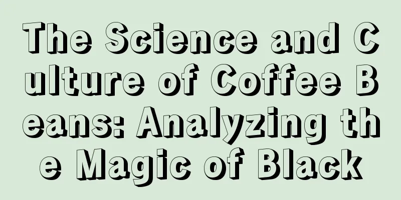 The Science and Culture of Coffee Beans: Analyzing the Magic of Black