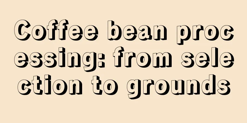 Coffee bean processing: from selection to grounds