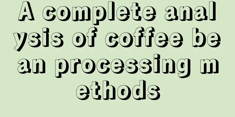 A complete analysis of coffee bean processing methods