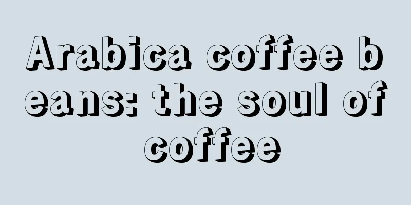 Arabica coffee beans: the soul of coffee