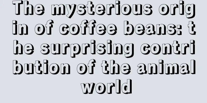 The mysterious origin of coffee beans: the surprising contribution of the animal world