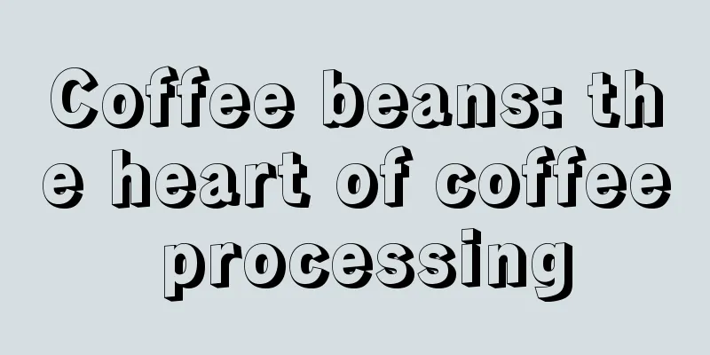 Coffee beans: the heart of coffee processing