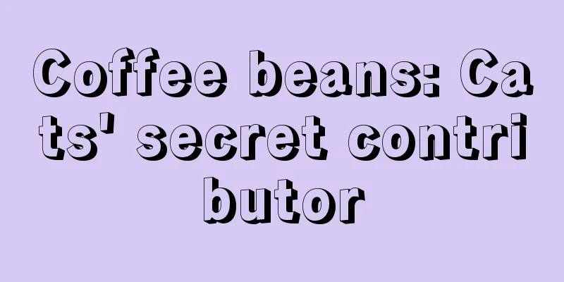 Coffee beans: Cats' secret contributor