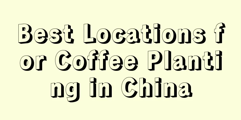 Best Locations for Coffee Planting in China