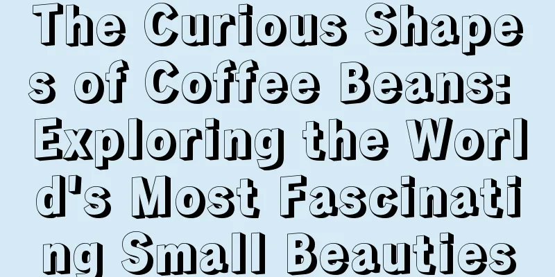 The Curious Shapes of Coffee Beans: Exploring the World's Most Fascinating Small Beauties