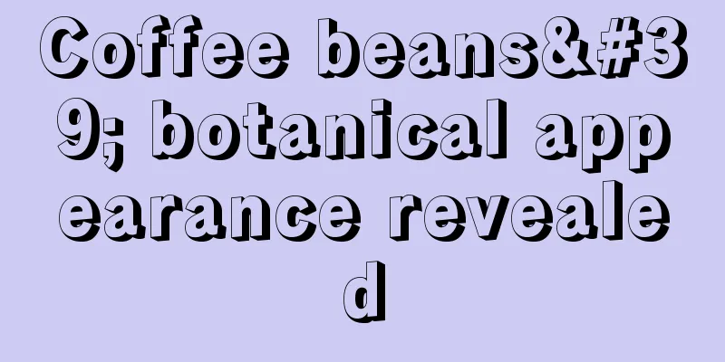 Coffee beans' botanical appearance revealed