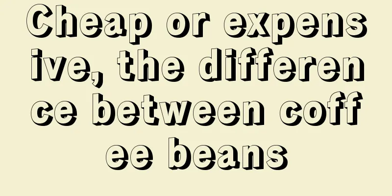 Cheap or expensive, the difference between coffee beans