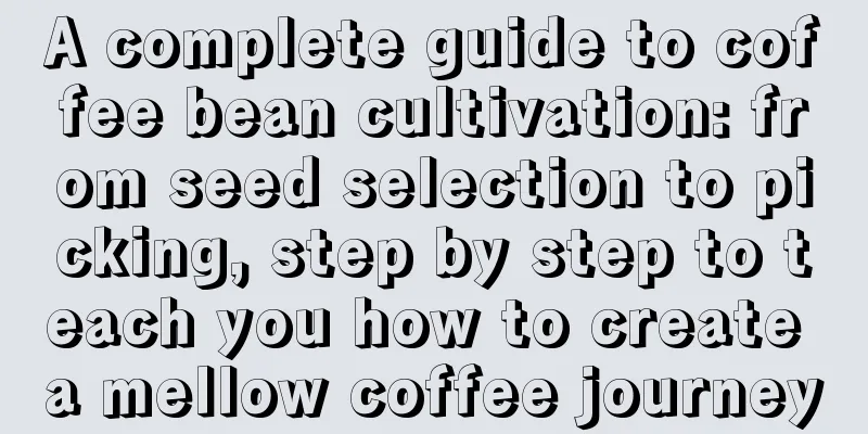 A complete guide to coffee bean cultivation: from seed selection to picking, step by step to teach you how to create a mellow coffee journey