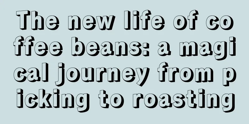 The new life of coffee beans: a magical journey from picking to roasting