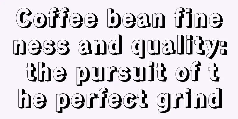 Coffee bean fineness and quality: the pursuit of the perfect grind