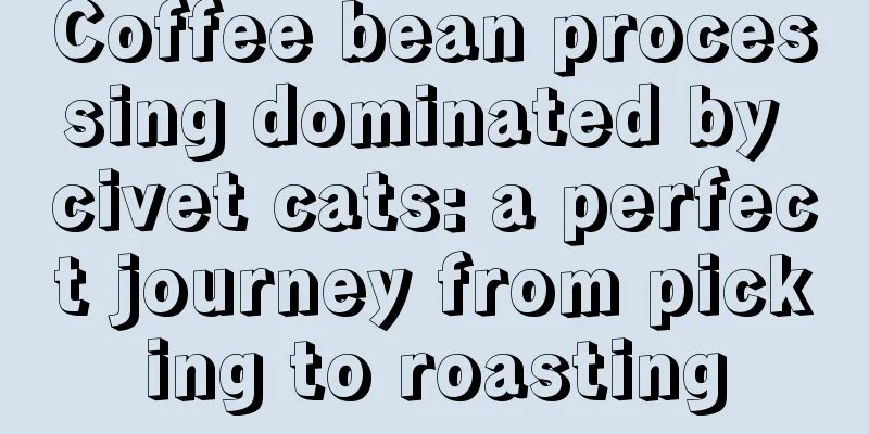 Coffee bean processing dominated by civet cats: a perfect journey from picking to roasting