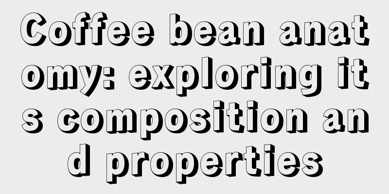 Coffee bean anatomy: exploring its composition and properties