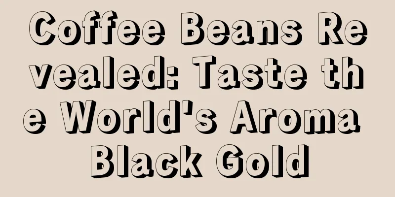 Coffee Beans Revealed: Taste the World's Aroma Black Gold