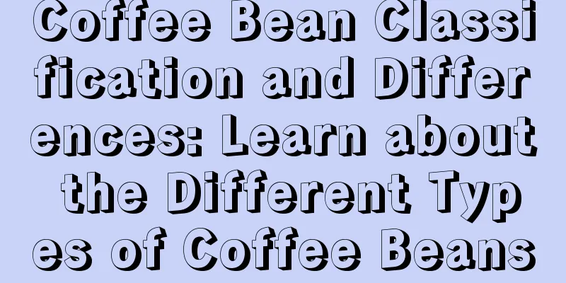 Coffee Bean Classification and Differences: Learn about the Different Types of Coffee Beans