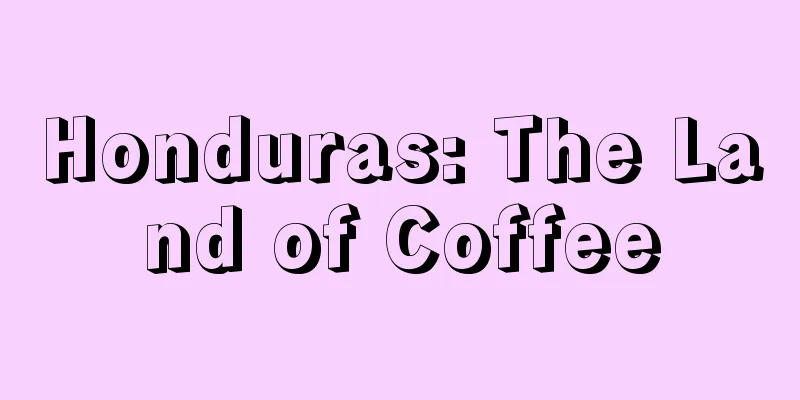 Honduras: The Land of Coffee