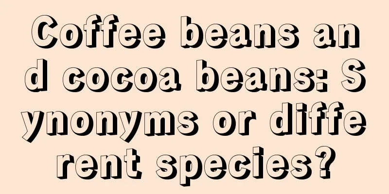 Coffee beans and cocoa beans: Synonyms or different species?