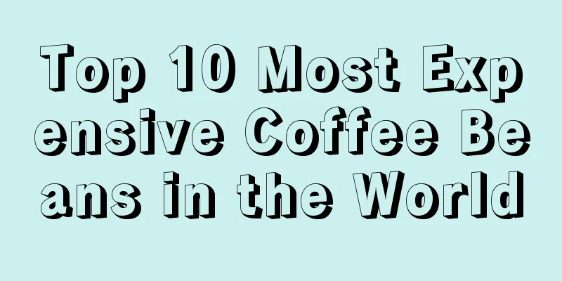 Top 10 Most Expensive Coffee Beans in the World